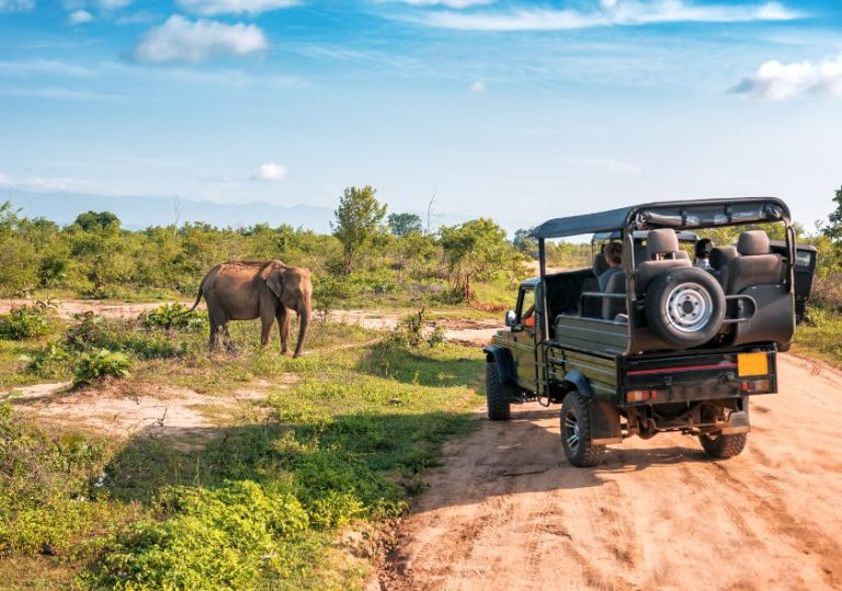 Vivez des expériences uniques lors de votre safari au Kenya avec Hors Pistes