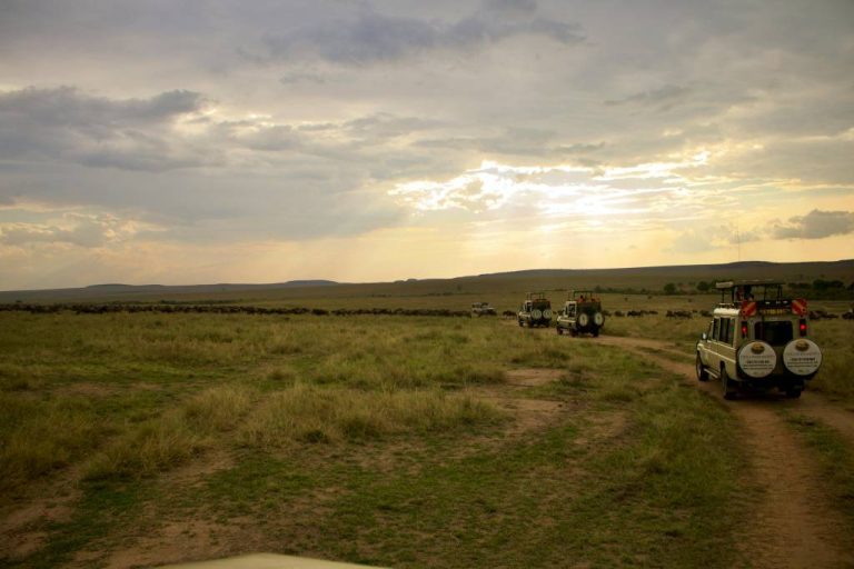 Safari tanzanie : 10 itinéraires hors pistes pour une aventure authentique
